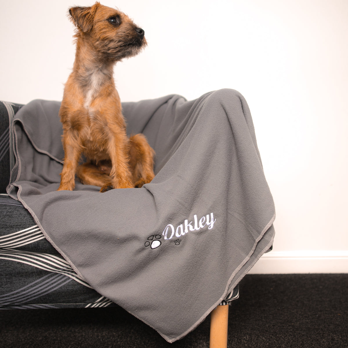 Personalised Dog Blanket Embroidered With Name - Always Looking Good -