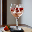 Stemmed Gin Glass